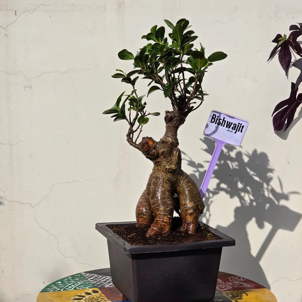 product-gallery